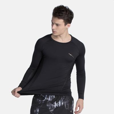 China Custom Gym QUICK DRY Full Sleeve Plain Cotton T-Shirts For Men Workout New Design Sports Use Logo T Shirt for sale