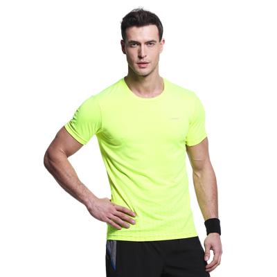 China Breathable Gym Training Sports Dry Fit Custom Plus Size Printing Plain T Shirt Men for sale