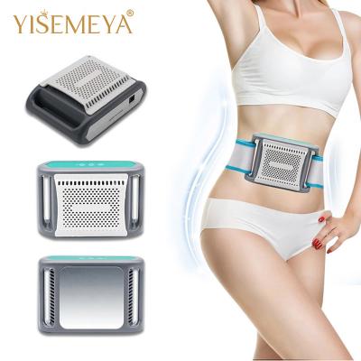 Κίνα Ασφαλής Cryolipolysis ζωνών απώλεια βάρους ψύξης Cryopad μηχανών αδυνατίσματος παχιά παγώνοντας προς πώληση