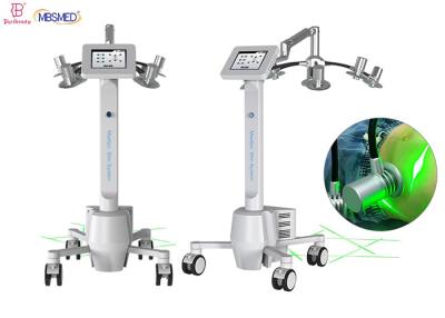 China celulites da perda de peso da máquina do emagrecimento do laser de 532nm 635nm 6D anti tela táctil de 8 polegadas à venda