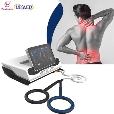 China Gepulseerd elektromagnetisch veld Verminder ontsteking Fysiomagneto Pemf Magnetische therapieapparaat Paard Mens Te koop