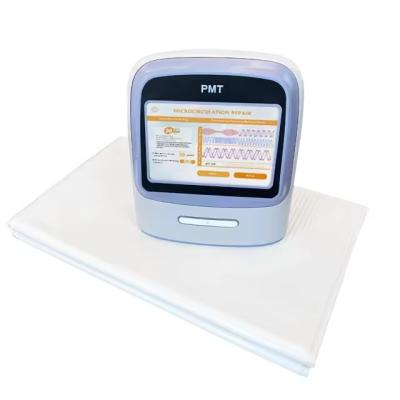 Cina Matto di riscaldamento di Pemf Bio Magnetic Therapy Healing Mat di Pemf in vendita