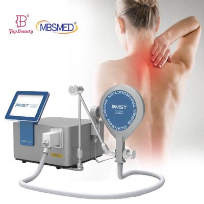 China Pemf Loop Equine Pmst Loop Physical Therapy Magnetic Pmst High Powered Magneto Pemf Therapy Machine For Human And Horse for sale