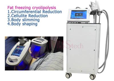 China Máquina ardiendo gorda de Cryolipolysis de 4 manijas para el uso en el hogar en venta