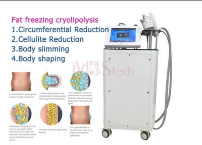 China 190mm 130mm Double Chin Cryo Cryolipolysis Slimming Machine for sale