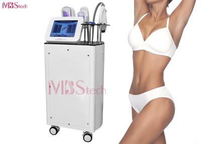 Κίνα Μηχανή αδυνατίσματος Cryolipolysis αφαίρεσης Cellulite προς πώληση