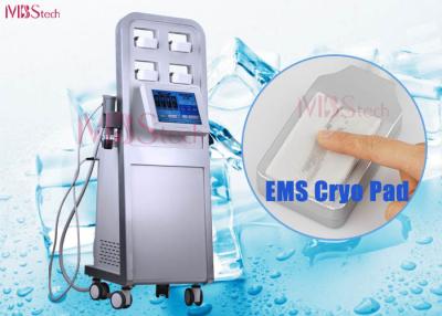 Κίνα Shockwave μηχανή αδυνατίσματος Cryolipolysis προς πώληση