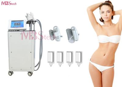 Κίνα 2 σε 1 μηχανή αδυνατίσματος Cryolipolysis προς πώληση