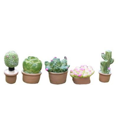 China Hot Selling China 5 Styles Succulent Plants Ornaments Resin Decoration Crafts Pot Bonsai Cactus Mini Plants for sale