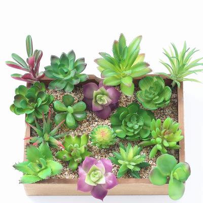 China Wholesale Artificial Succulents Plants Single Hot Sales High Quality Eco-friendly Mini Artificial Plant for sale