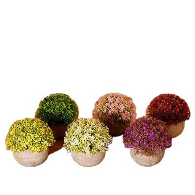 China Simply Mini Simulated Green Plants Plastic Backdrops Photography Props Decorations For Home Artificial Plants Bonsai for sale