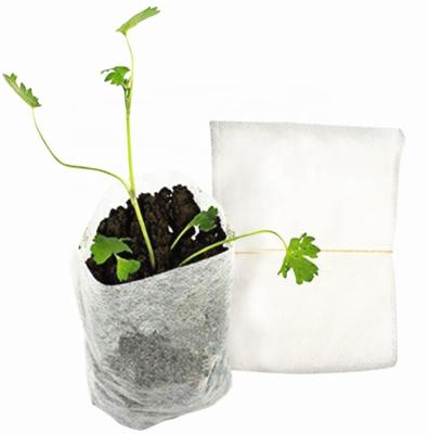 China 100pcs/bag Breathable Felt Seedling Bag Planting Nutrition Bag Gardening Supplies 8*10cm for sale