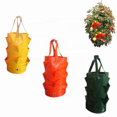 China Free Sample Single Strawberry Planting Bag Aerial Gardening Planting for sale