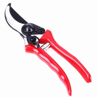 China Single Hand Gardening Shears Grafting Scissors Pruning Tools for sale