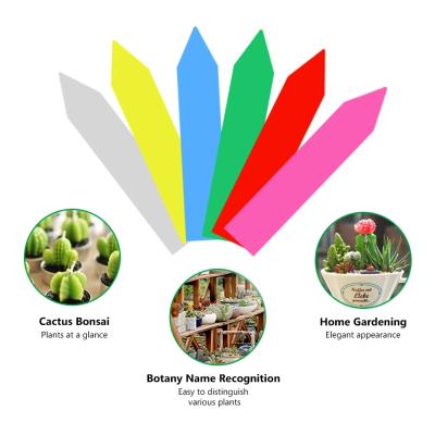 China Plastic Tag PVC Plant Label Flower Mark Card Meat Identification Sign Garden Tool Gardening Supplies for sale