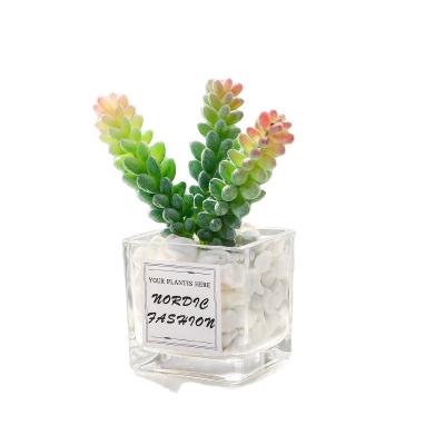 China Desktop Decoration Mini Succulent Cactus Modern Small Green Plant Potted Simulation Desktop Decoration for sale