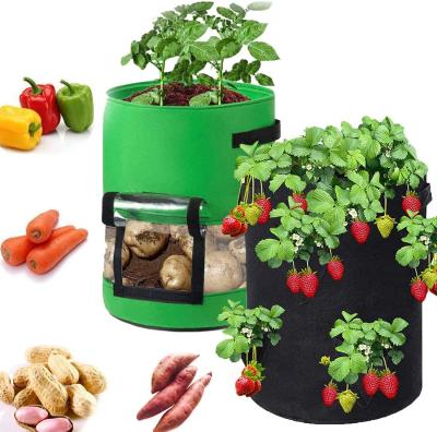 China Hot Selling Environmental Protection Breathable Nonwoven Fabric Tomato Vegetable Garden Handle Environmentally Friendly Planting Blueberry Planting Bags for sale