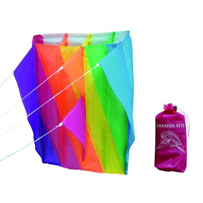 China Good Quality Nylon Promotional Easy Flying 3d Big Power Sport Soft Kite for sale