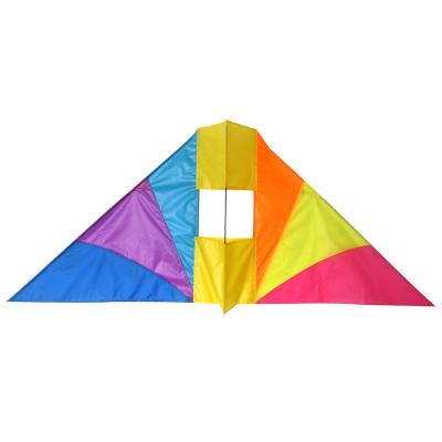 China LOGO Nylon Custom Promotion Printed Single Box Children Delta Yarn 3D Adult Sport Kite for sale