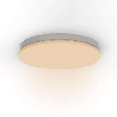 China Modern IP54 led ceiling light for bathroom for sale