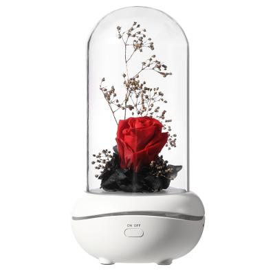 China Decorative Preserved Home Humidifier Flower Essential Oil Diffuser Rechargeable Ultrasonic Humidifier for sale