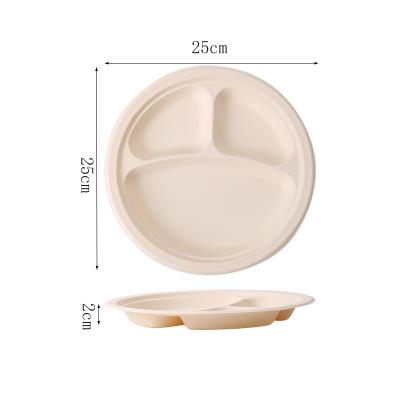 China Promotional Bisphenol FREE A 10' BPA Free Biodegradable Disposable Tray with 3 Compartments for sale