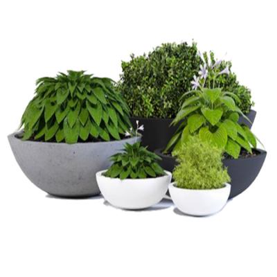 China Modern Large Cement Planter Mold Modern Outdoor Fiberglass Concrete Garden Round Bowl Design Bulk Planter Pot For Planting for sale