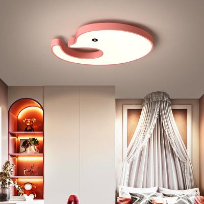 China Lighting Works New Cartoon Dolphin Color Changing Remote Control Dimmable Bedroom Ceiling Lamp LED Color Changing Ceiling Light For Kid's Room for sale