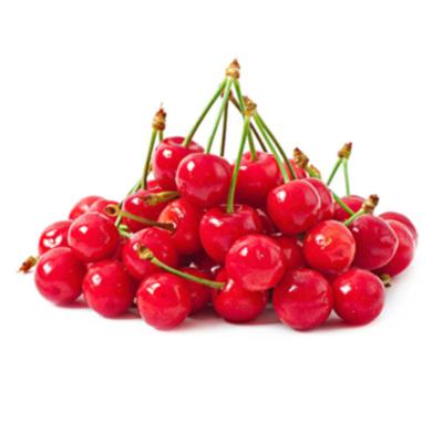 China Fresh the farm specializes in fine fresh cherries for sale