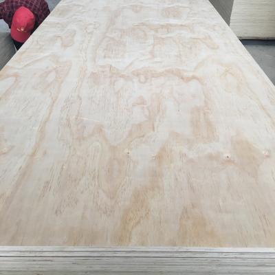 China North America commercial plywood supplier of modern face BB/CC face grade 4mm 6mm 9mm 12mm 15mm 18mm pine okoume plywood for sale