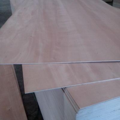 China Best price 4.2mm traditional bintangor okoume pine face back commercial plywood for sale