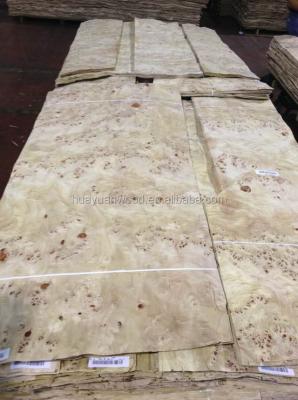 China natural poplar knot veneer for sale