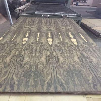 China Exotic Veneer Mexico Ziricote For European Market Wood Veneer for sale