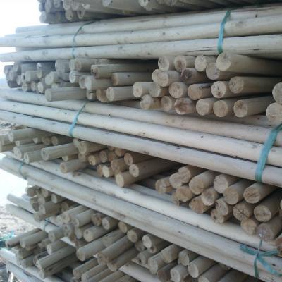 China Wooden Pole Broom for sale