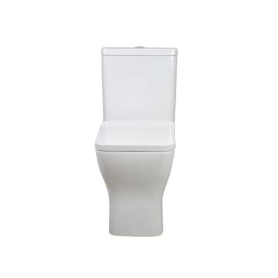 China Modern Floor Standing Ceramic Double-flush Rimless Toilet Bowl With Water Tank for sale