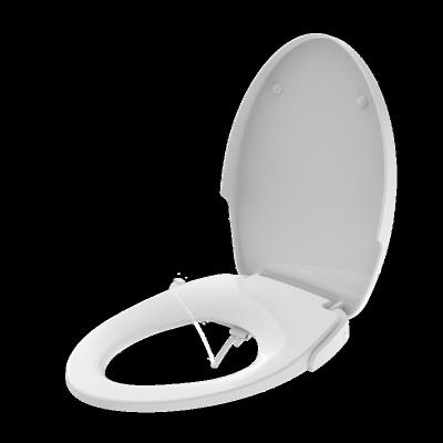 China Concealed Single Tank American Style Woman Cold Wash Long Lid Extended Bidet Manual Toilet Seat Self-Cleaning: Start Self Clean for sale