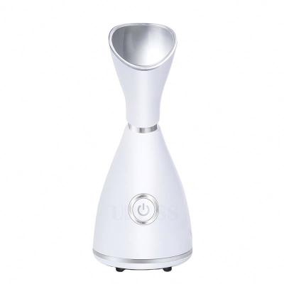 China Moisturizer Mini Facial Home Use Cheap Portable High Quality Nano Electric Face Steamer for sale