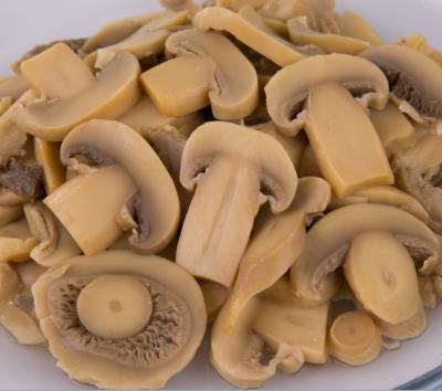 China 800g canned canned mushroom pieces and stems PNS in China with factory price for sale