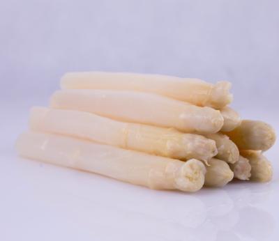 China 800g canned newly canned white asparagus spears in tin for sale