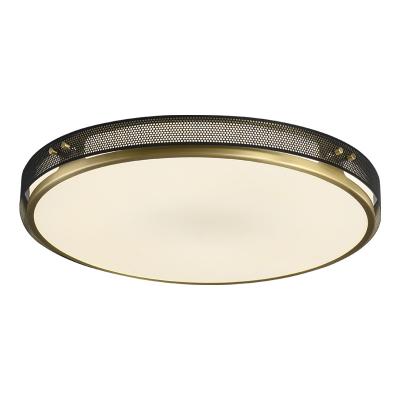 China Factory direct sale outdoor mounted ceiling light nordic modern ceiling lights for modern living room ceiling lamp for sale