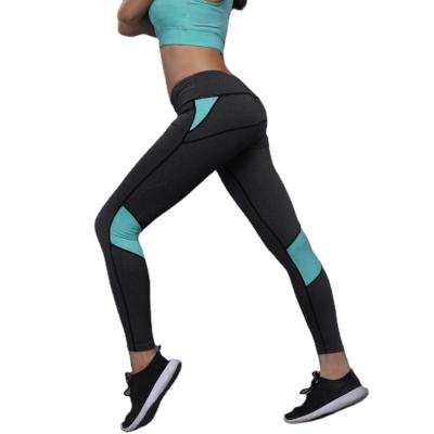 China Breathable Fashion Colorful Sporty Pants For Women Running Trousers for sale