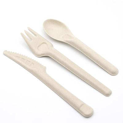 China Manufacturer Wholesale Bagasse Material Disposable Paper Spoons 16cm for sale