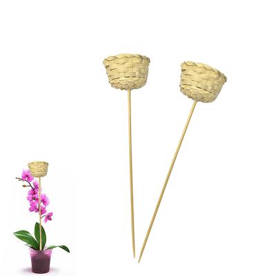 China Sustainable Bamboo Plant Grow Support Sticks Bamboo Plants Flower Stick Plant Support Bamboo for sale