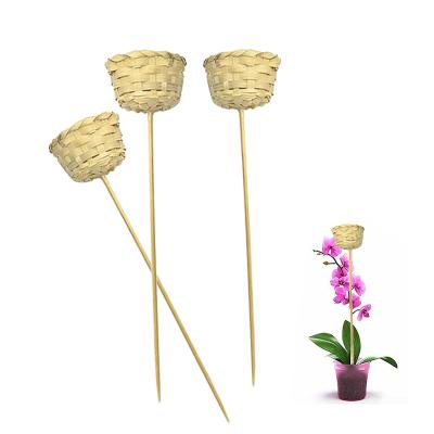 China Sustainable Garden Stakes Plant Stakes 13.5 Inches Bamboo Plant Support Bamboo Sticks for sale