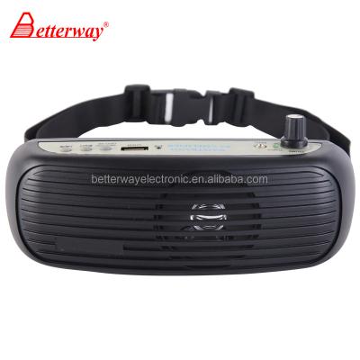 China USB slot for playing mp3 belt pa amplifier for sale