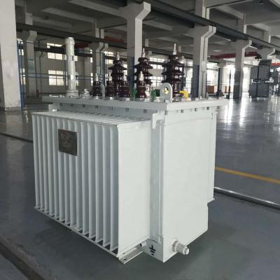 China Outdoor Power SGOB 1 Mva 3 Phase Oil Immersed Transformer Price for sale