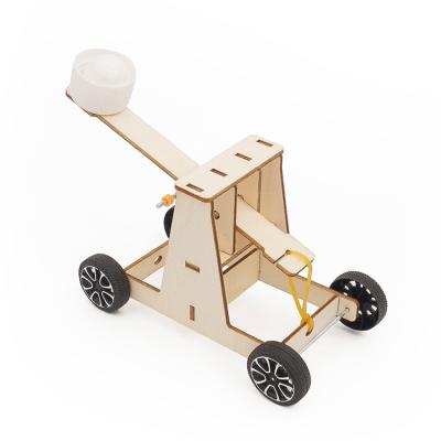 China Assemble Toy Shopfiy Hot Toys New 2021 Kids Catapult Science Experiment Kits Push Back Wooden DIY Tool Toys Other Educational Toys for sale