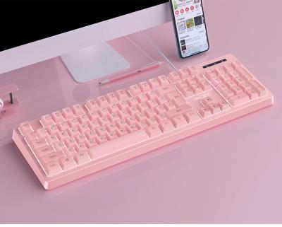 China Real Wireless Mechanical Keyboard Wired RGB Light Gaming Mechanical Keyboard 104 Peripherals Multifunctional Keyboard For Game for sale