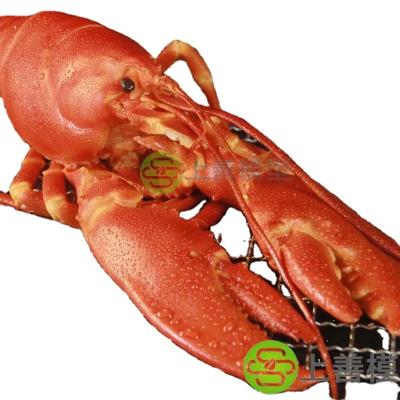 China Antique Imitation Model of food American giant plush lobster model 3d the props for sale