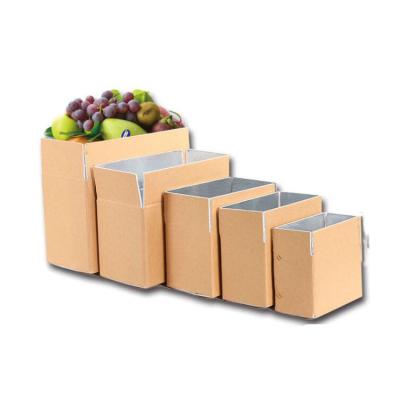 China Recyclable Cooler Box In Frozen Food Packaging Liner Reflective Material Insulated Shipping Cartons For Seafood Delivery for sale